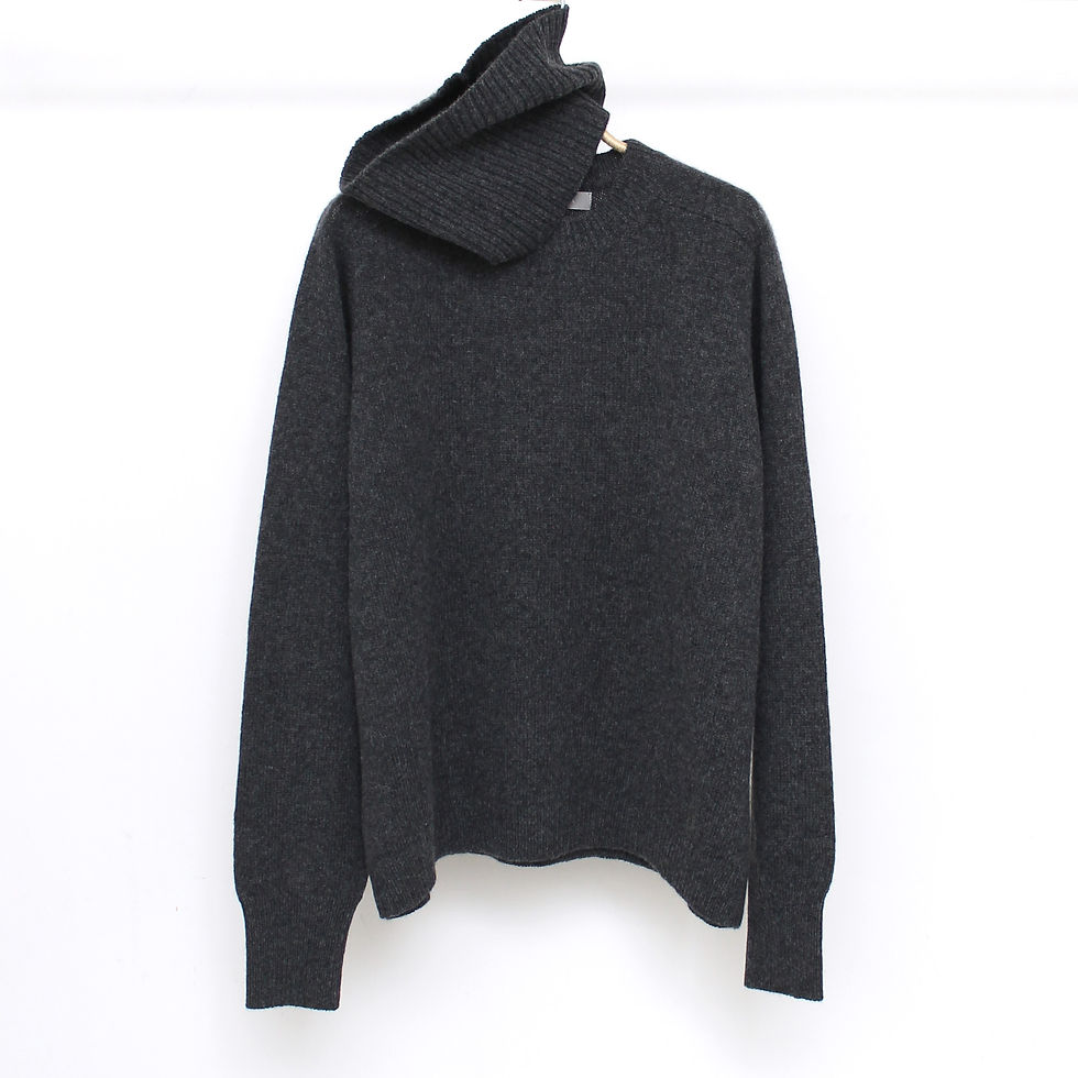 サムネイル： Raccoon 583302