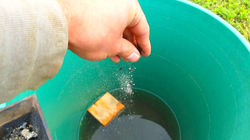 Agnihotraasche fürs gesamte Gießwasser