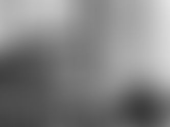 Legacy of Franks on the Main