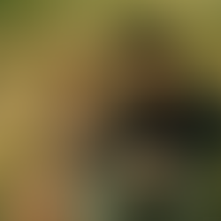 《夏天的故事》:陰晴不定,陷入於專一與花心的無底深淵