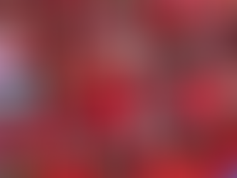 東南扎記：泰國紅衫軍與黃衫軍