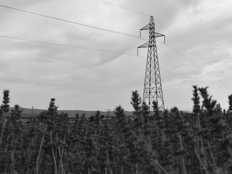 The Skin is Mute without Perfume