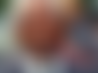 非洲風情：塞內加爾的「良性」循環