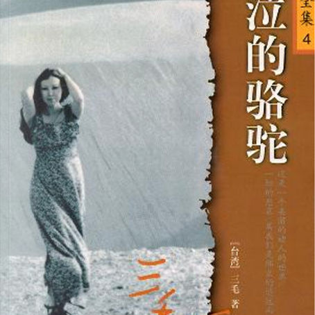 《哭泣的駱駝》:意猶未盡,遙遠而不著邊際的沙漠地帶