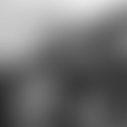 My Masterpiece is My Garden