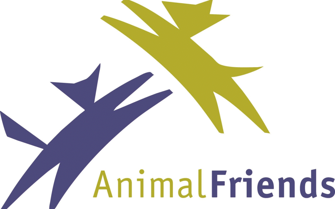 animal friends.gif