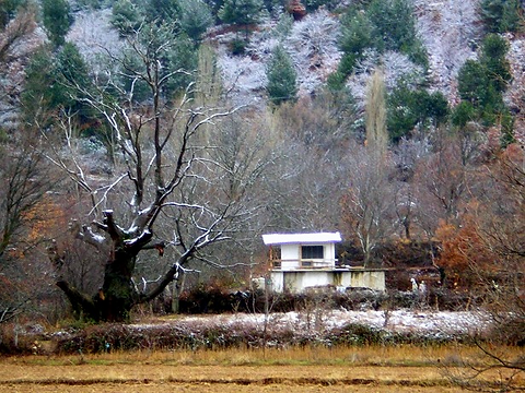 PNG-24A - GEDİZ - SINDIRGI ARASI (24).png