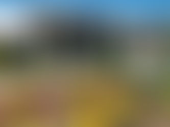 Share the Harvest Farm