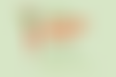 Springs Garden Party - Save the Date