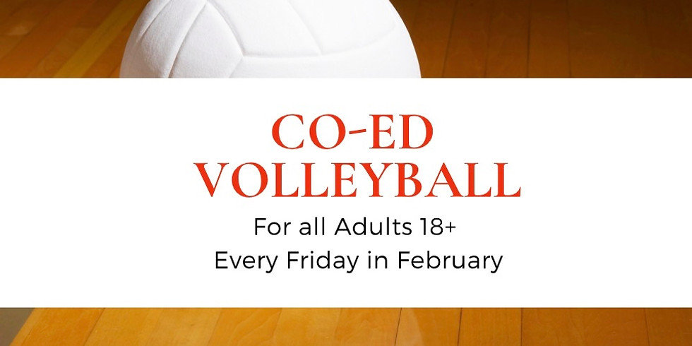 Co-Ed Volleyball
