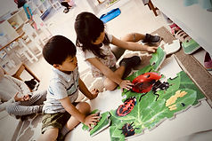 IMG_9052.jpeg