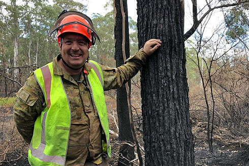 arborist3.jpeg