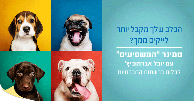 Facebook_Ads_Design_02_