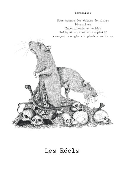 Illustration A3 - Les Réels - Mimenbulle et Sigma Pan