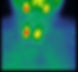 parathytoides_edited_edited.jpg