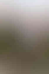 párové focení Praha 1 | zásnubní focení Praha | předsvatební focení Praha 6 | fotograf na zásnuby Praha | romantické focení páru Praha 5 | Michaela Hašková párové focení Praha