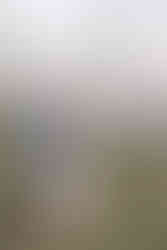 párové focení Praha 1 | zásnubní focení Praha | předsvatební focení Praha 6 | fotograf na zásnuby Praha | romantické focení páru Praha 5 | Michaela Hašková párové focení Praha