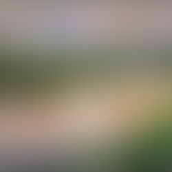 奧爾森的貝多芬五首鋼琴協奏曲