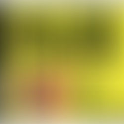 Mie Joké Etrenne SACD