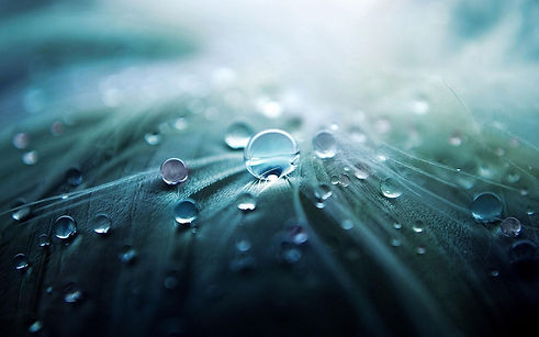 water-droplets-955929_1280.jpg