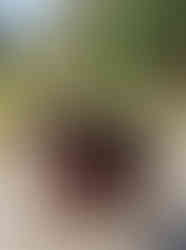 Our clients Aunty Mins  Bainbridge Island Pet Sitter.