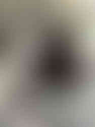 Our clients Aunty Mins  Bainbridge Island Pet Sitter.