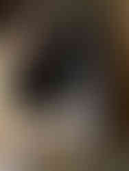 Our clients Aunty Mins  Bainbridge Island Pet Sitter.