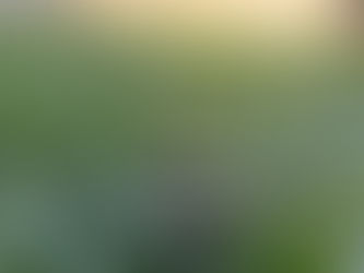 Are you living Consciously or on Autopilot?