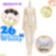 Front full-body view of Obitsu 26BD-F01W-M doll body M-size bust in white skin tone, surrounded by decorative logos.