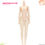 ภาพขนาดย่อ: Obitsu 22BD-F01N-S Bust Body Natural & AZONE Non Flocked Head parts set Doll NEW
