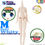 ภาพขนาดย่อ: AZONE PCN011-WHT 1/12 Picco Neemo FLECTION M GIRL Body Whity Doll NEW