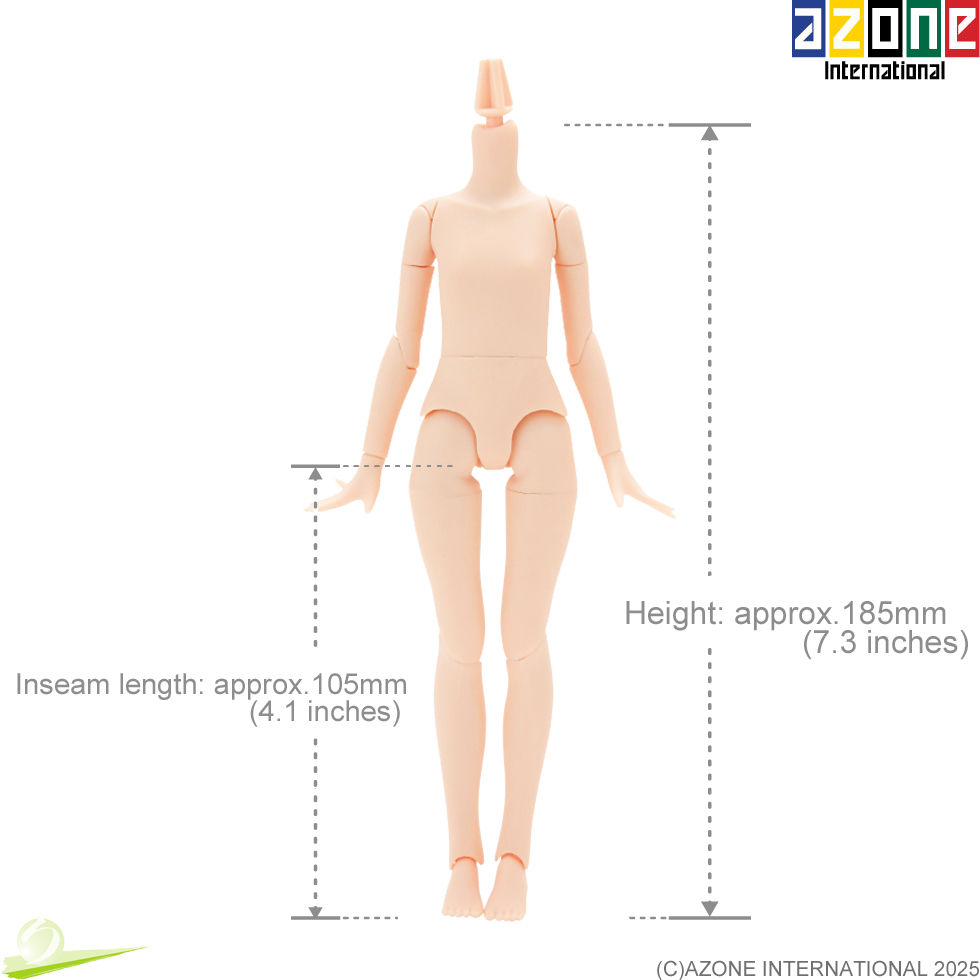 Miniatura: Front view of Azone 1/6 scale doll body PFL086-FLS, showing full height and inseam measurements.