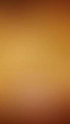 Love Will Save Us! 
And It Can Do So Through Film