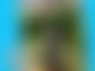 July Pets of the Month