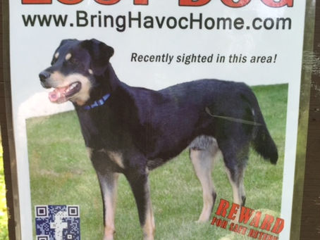 Help Bring Havoc Home!