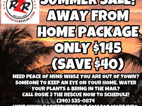 Check out my new SUMMER SPECIAL!