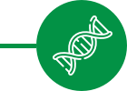 DNA Green Icon