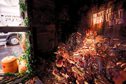 The Last of Us