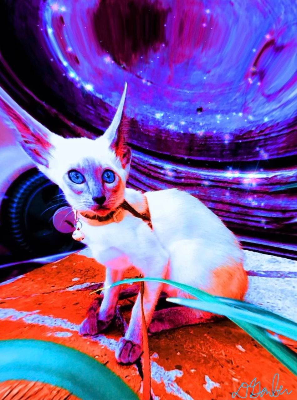 Kiki the Martian | Graphic Design | USA