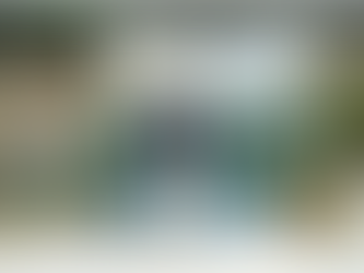 ΑΝΤΙΤΟΡΠΙΛΙΚΟ ΑΔΡΙΑΣ L67. ΤΟ ΑΒΥΘΙΣΤΟ ΠΛΟΙΟ.