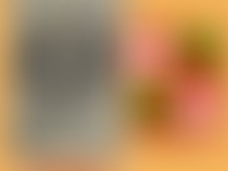 ΑΡΧΗ ΤΗΣ ΙΠΠΟΤΟΚΡΑΤΙΑΣ ΣΤΑ ΔΩΔΕΚΑΝΗΣΑ