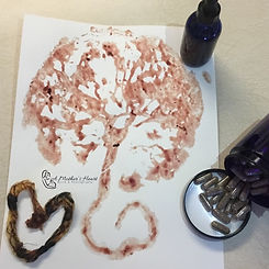 Placenta Capsules, Print, Tincture