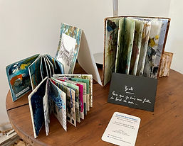 IMG_3227 (1).jpg