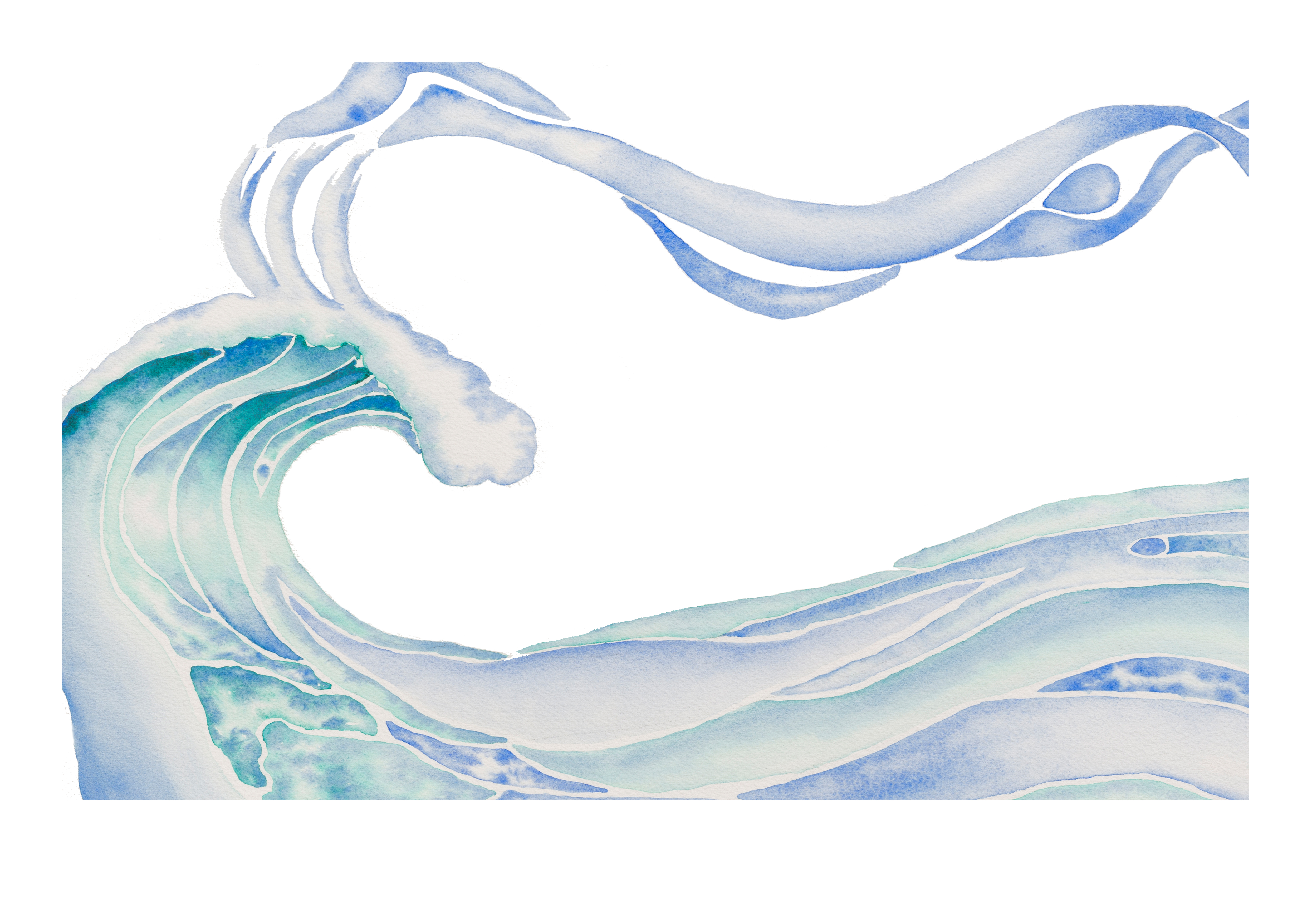 Ocean