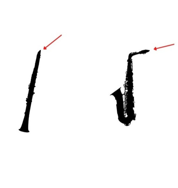 and Saxophone Embouchures The Differences Between the two