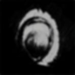 Actual Avocado_22