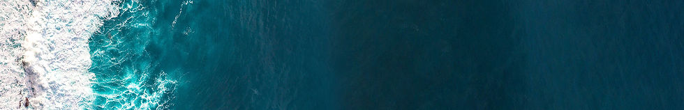Header 1920 x 310.JPG
