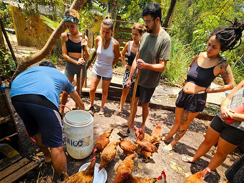 WhatsApp Image 2025-05-02 at 19.23.34.jpeg