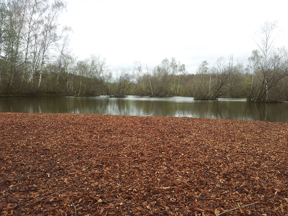 View From the Peg