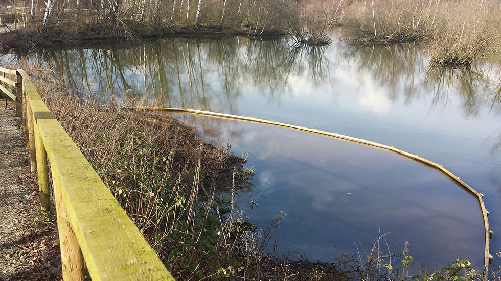 Edging Done